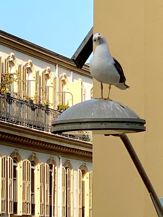 Appartamento 2 Bedroom - Hyper Center - Kitchen - Tramway - Balcony - Air Conditioner - Wifi Nizza